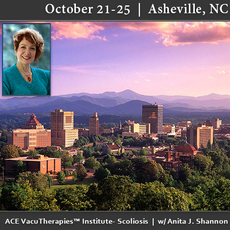 ACE VacuTherapies Institute Scoliosis Workshop – October 21 – 25 in Asheville, NC